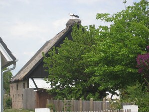 Terrain de l’hébergement 