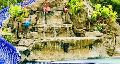 Lost in Paradiseperfect for Large Groups and Celebration Events