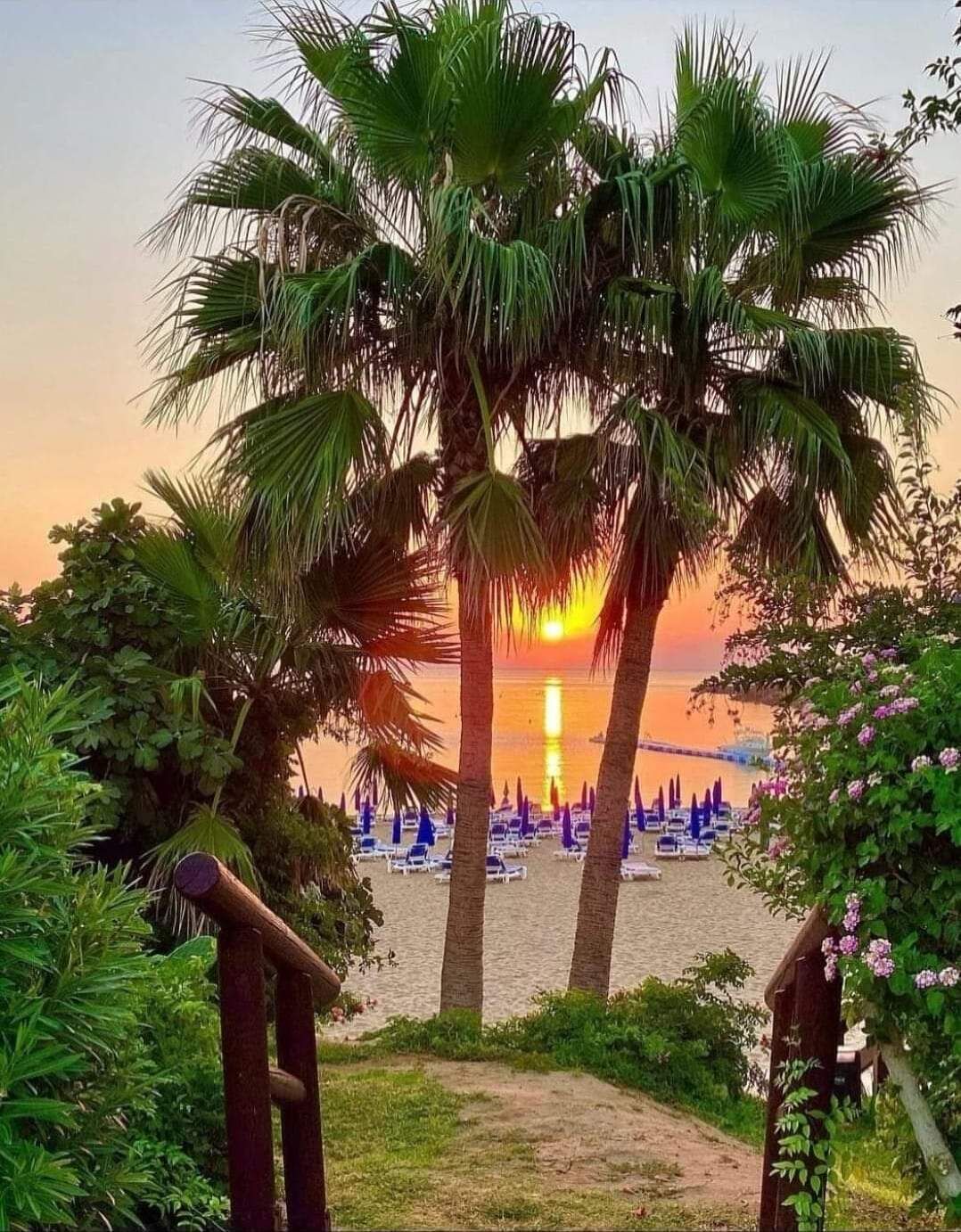 A beach scene with palm trees, a sunset, and beach umbrellas.