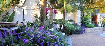 Lovely Self-catering Home, in Quiet Area, 10 Minutes Walk to Restaurants No01