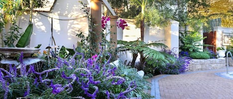Appartement, 1 chambre, fumeur, patio | Jardin