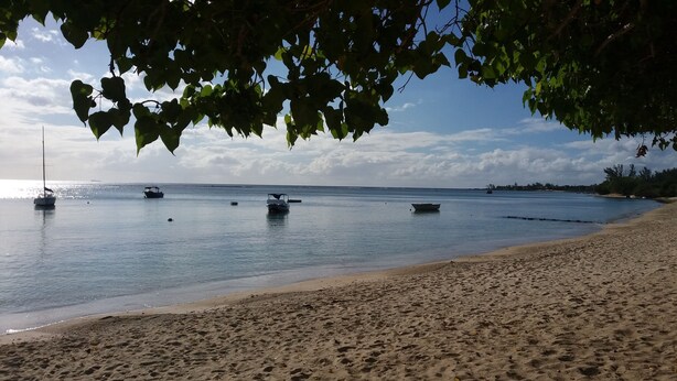 Playa