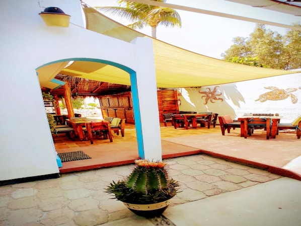 Apartment, 1 Bedroom, Smoking, Patio | Terrace/patio - Nice Apartment, Equipped Near the Malecon and the Beach (La Paz)