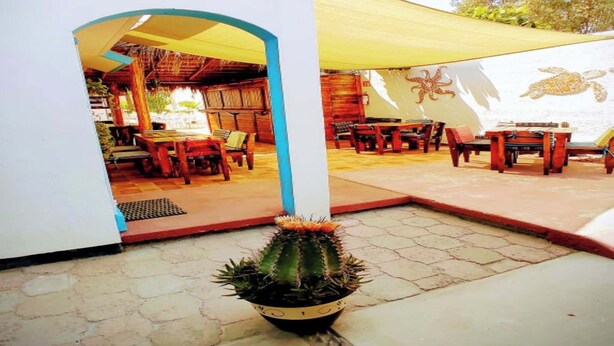 Apartment, 1 Bedroom, Smoking, Patio | Terrace/patio - Nice Apartment, Equipped Near the Malecon and the Beach (La Paz)