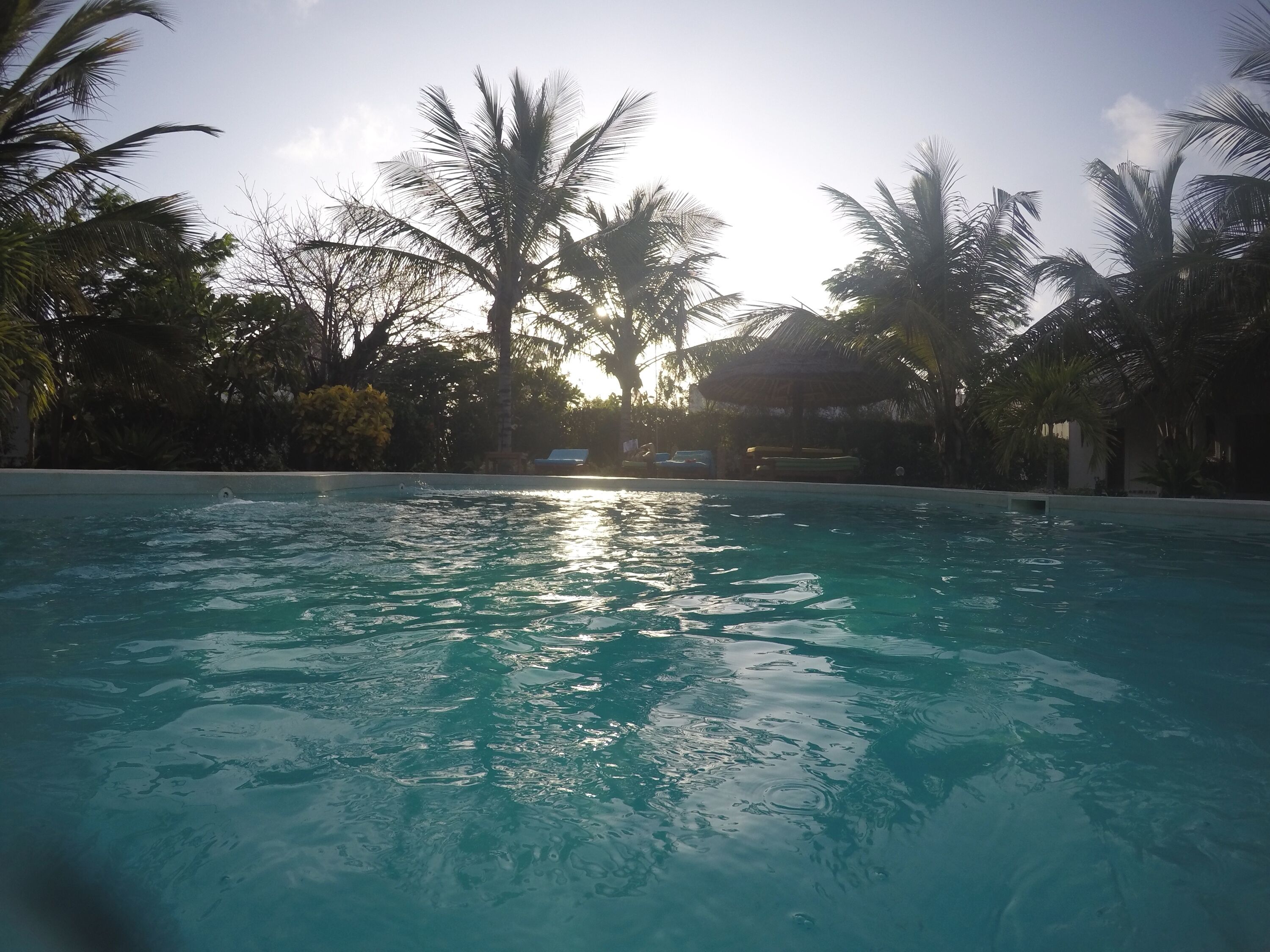 En swimmingpool med klart vand, omgivet af palmer og liggestole, med solnedgang i baggrunden.