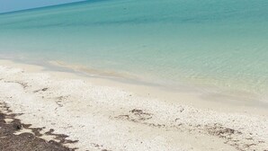 Uma praia com águas cristalinas e uma orla arenosa.