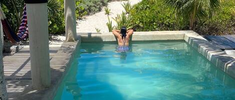 House, 4 Bedrooms, Smoking, Private Pool | Pool