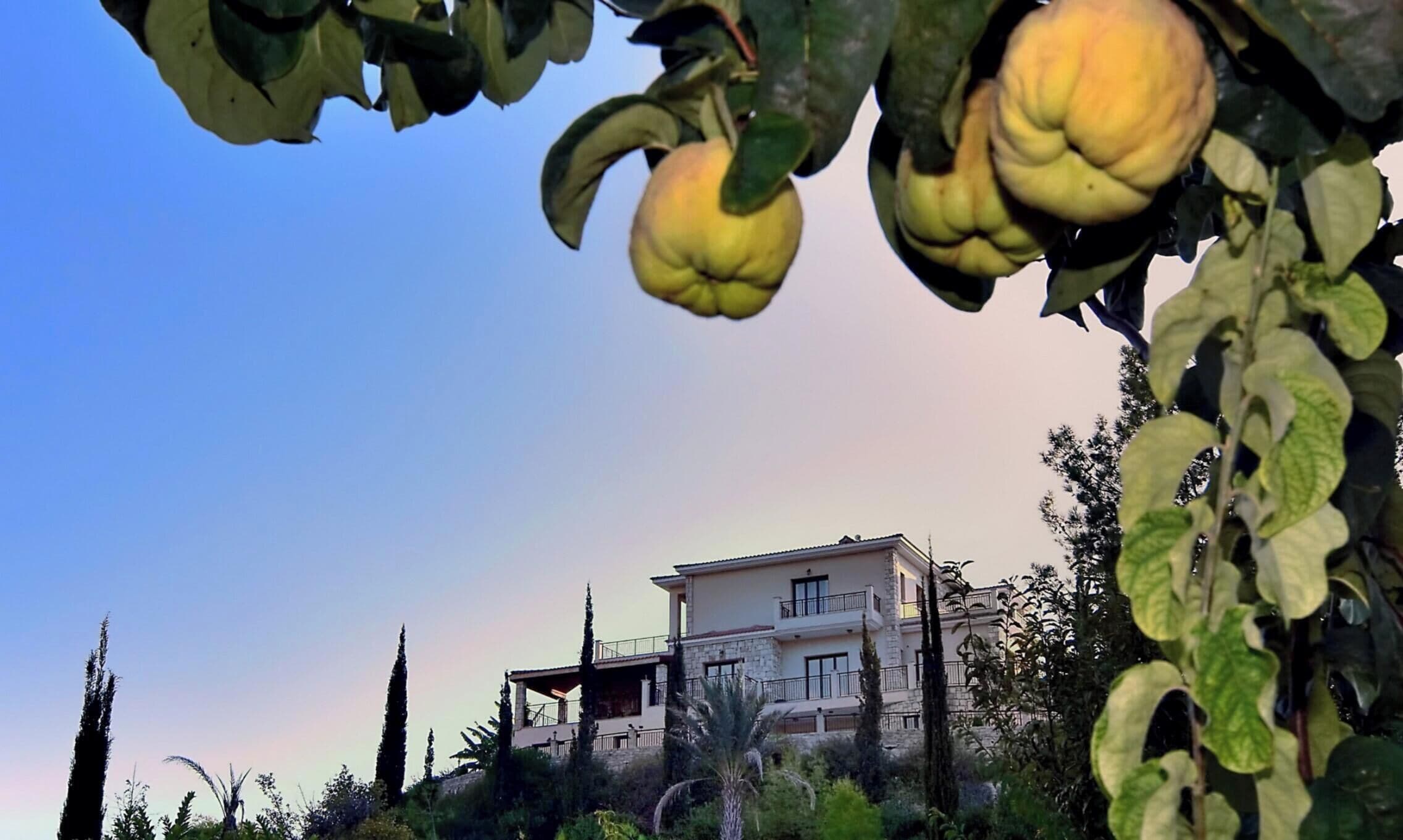 Vila, 5 quartos, para fumantes, piscina particular | Fachada