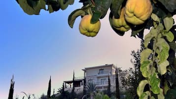 Vila, 5 quartos, para fumantes, piscina particular | Fachada