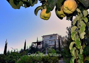 Villa, 5 Bedrooms, Smoking, Private Pool | Exterior - Amazing Luxury Villa, Enormous Heated Pool Jacuzzi, Gym, Games Room In Paphos, (Argaka)