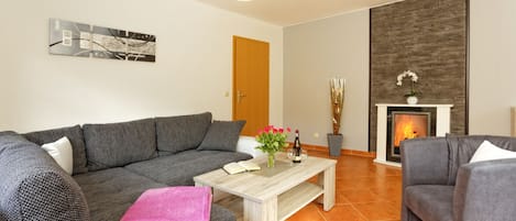 Télévision, cheminée