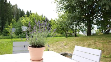 Drengestua | Terrace/patio