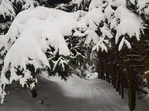 Hiking
