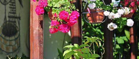 Room, 1 Bedroom, Smoking, Balcony | Garden