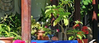 Room-one Bedroom Apartment in Paphos