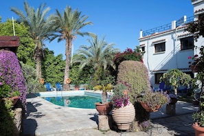 Habitación, 1 habitación, fumadores, balcón | Jardín
