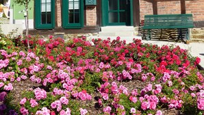 Detalle exterior