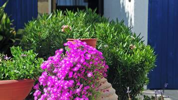 Room, 1 Bedroom, Smoking, Balcony | Garden