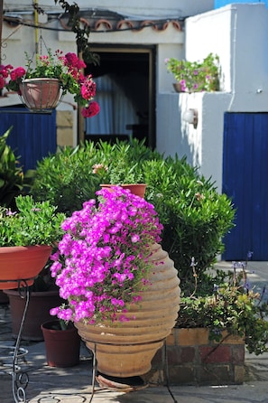 Room, 1 Bedroom, Smoking, Balcony | Garden - Room-spacious One Bedroom Apartment in P (Polis)