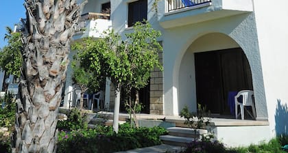 Room-spacious One Bedroom Apartment in P