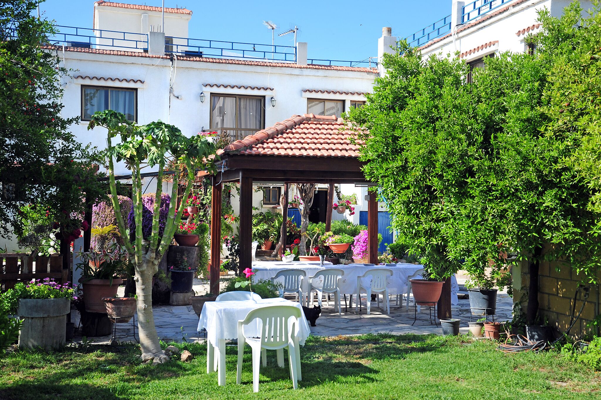 Spacious One Bedroom Apartment in Polis