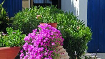 Room, 1 Bedroom, Smoking, Balcony | Garden