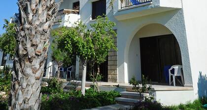 Room-spacious One Bedroom Apartment in P