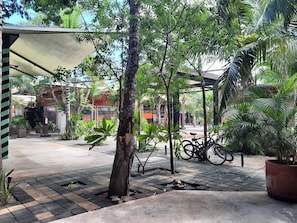 Stroll through lush gardens surrounded by palm trees and tropical plants, leading to a tranquil entrance.