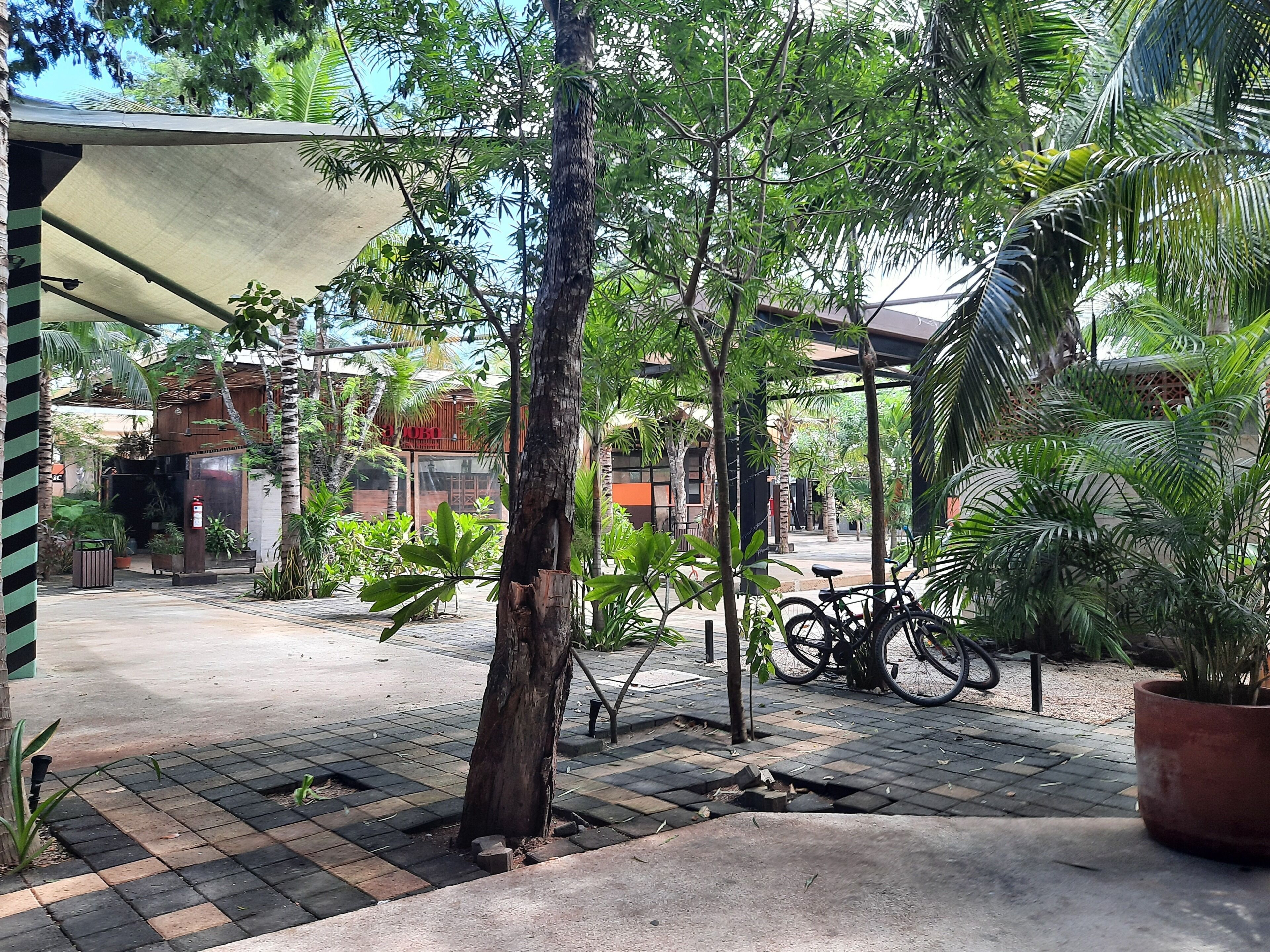 Une cour avec un vélo, des plantes en pot et un bâtiment doté d’un toit en pente.