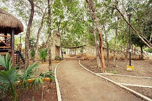 Un sendero de tierra que conduce a una estructura de madera con techo de paja, rodeada de árboles y muros de piedra.