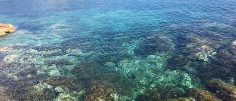A clear coastal view with rocky terrain and a calm sea.