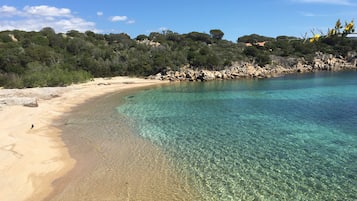 Una spiaggia nelle vicinanze