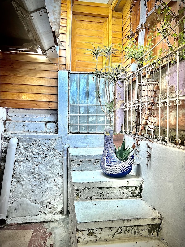 Cabin, 1 Bedroom, Patio | Property grounds - Cozy Big Bungalow Close To Downtown (San Cristóbal de las Casas)