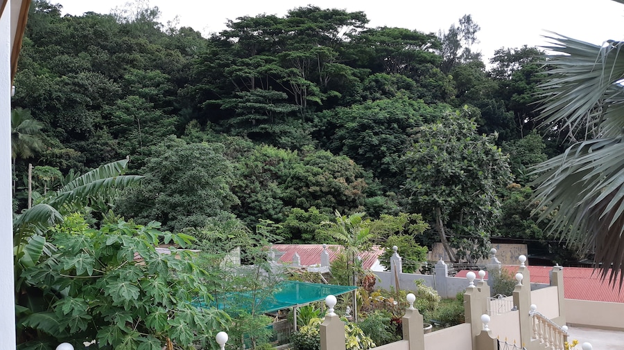 Relax and Quiet Place