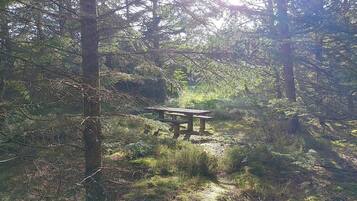 House | Outdoor dining