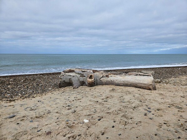 A beach with a large log in the foreground and the ocean in the background. - 7 Person Holiday Home in Frostrup (Frøstrup)