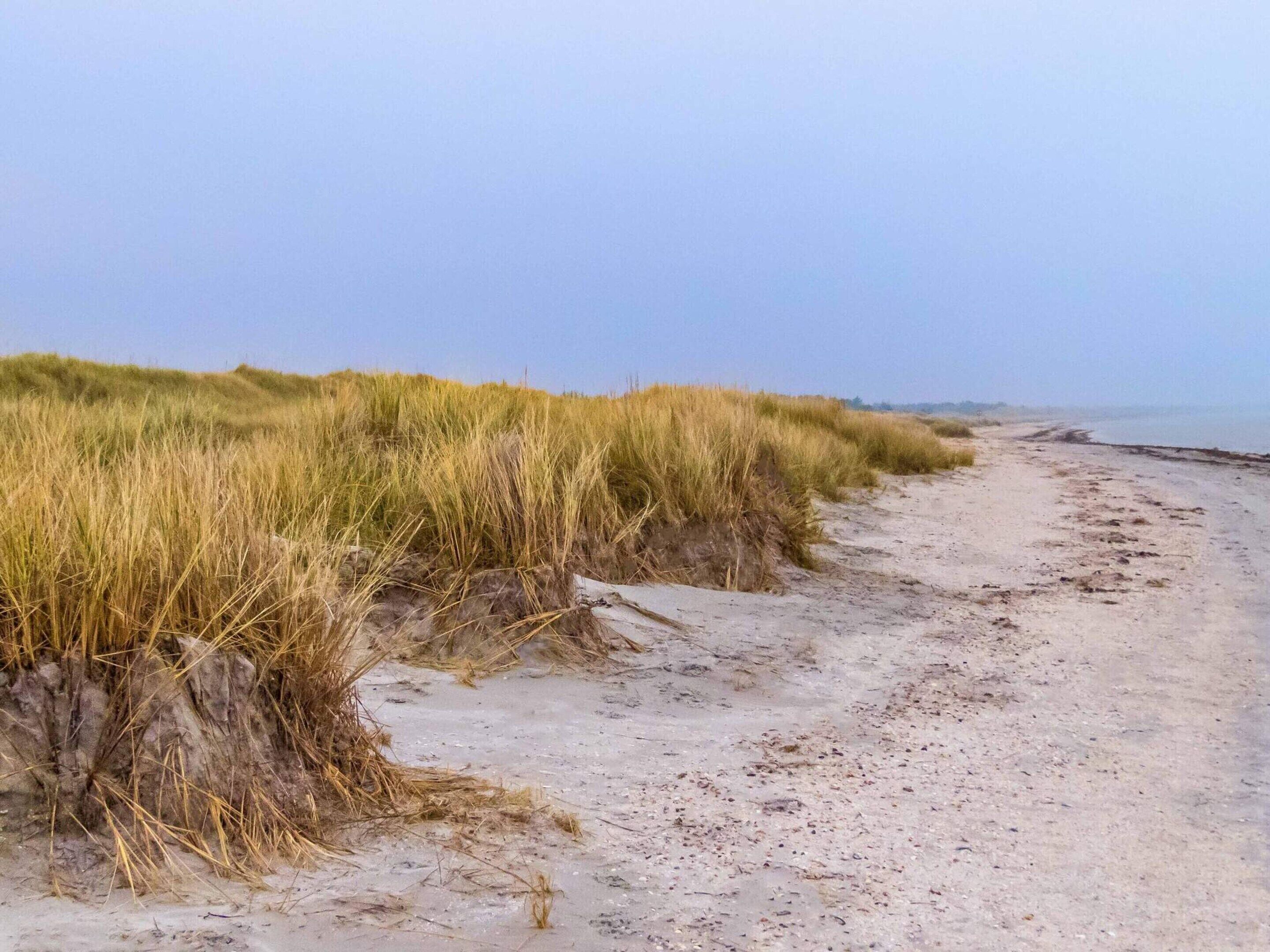 House | Beach