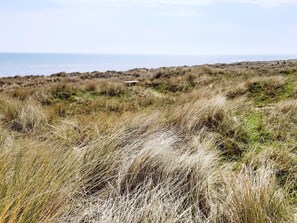A coastal landscape with grassy dunes and a view of the sea.