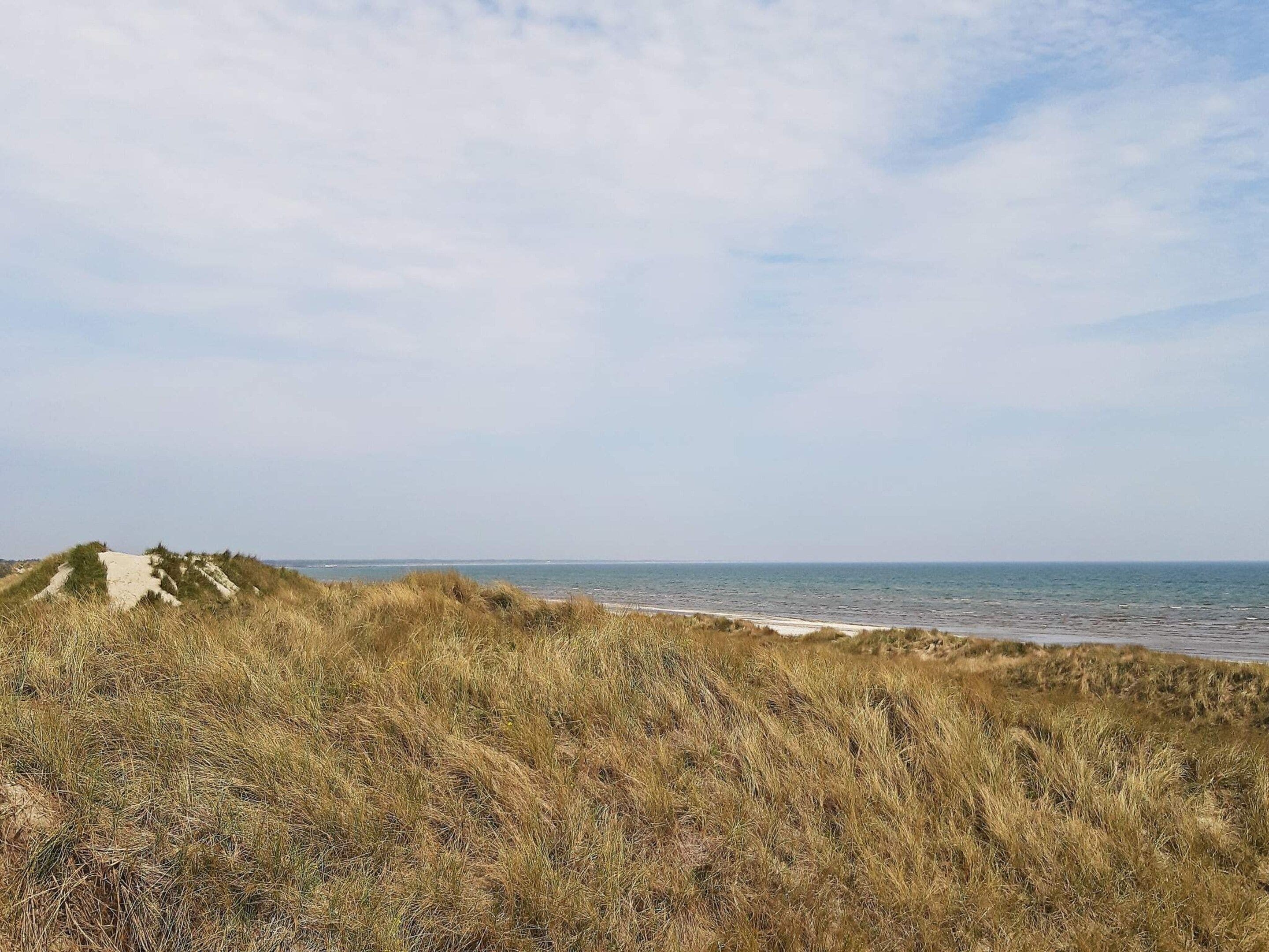 A coastal landscape with dunes and a beach.