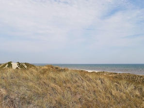 Een kustlandschap met duinen en een strand.