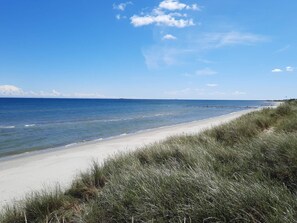A beach with clear blue water, sandy shore, and grassy dunes. - 6 Person Holiday Home in Albaek (Jerup)
