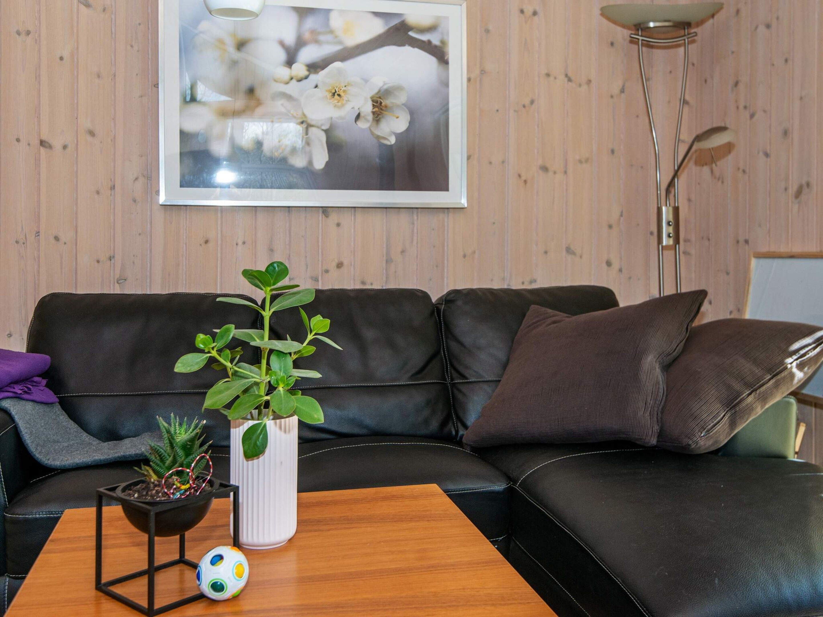 Ein Wohnzimmer mit einem schwarzen Ledersofa, einer weißen Vase mit einer grünen Pflanze, einem kleinen schwarzen Topf mit einer Pflanze, einem bunten Ball und einem gerahmten Bild an der Wand.