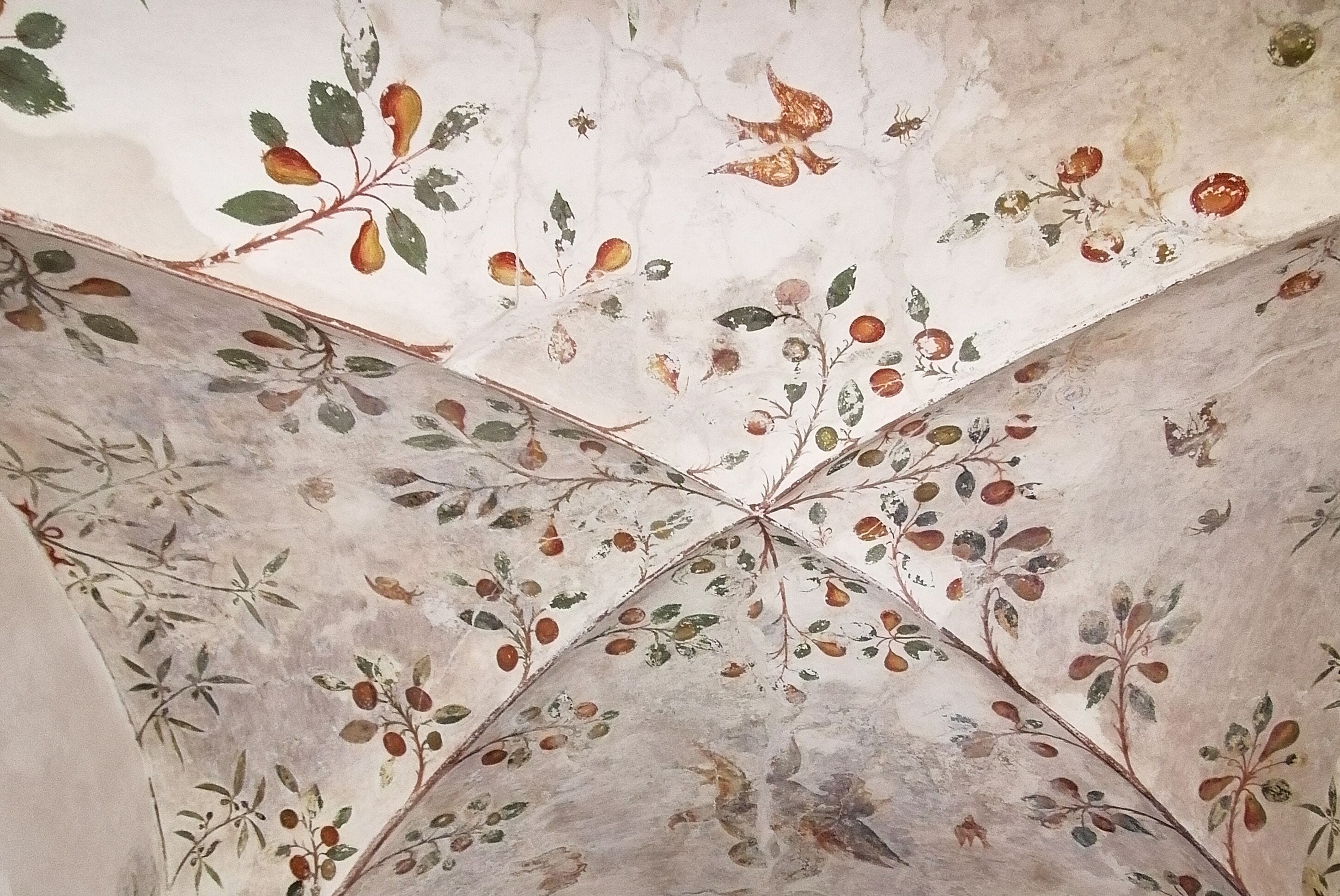 A ceiling with a fresco depicting branches with leaves and fruits.
