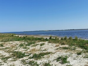 A beach with sand and sparse vegetation, a clear sky, and a calm sea.