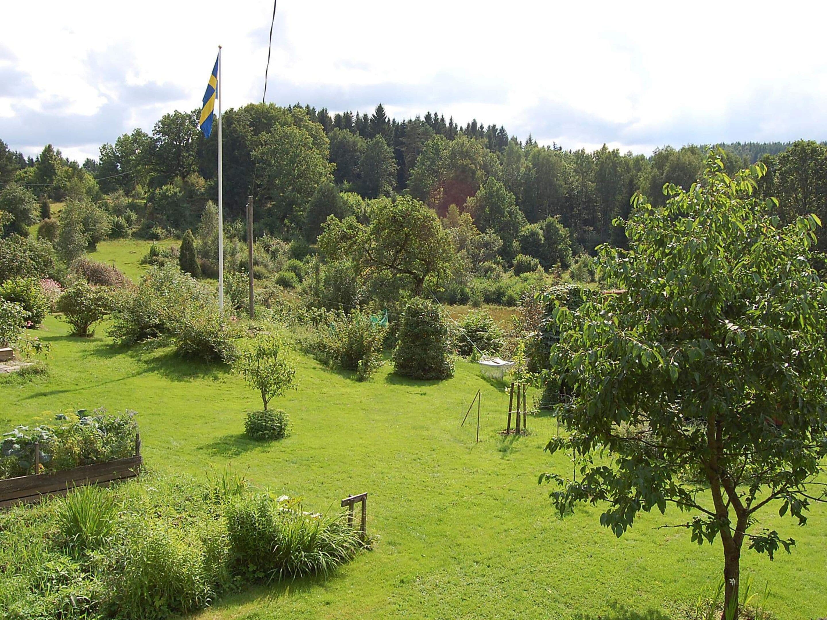 A grassy field with a flagpole and a flag, surrounded by trees and shrubs.