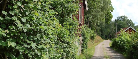 A rural road flanked by dense foliage and traditional red buildings.