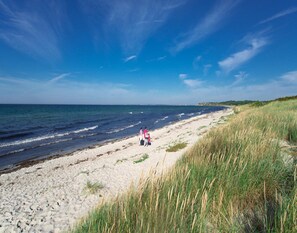 House | View from property