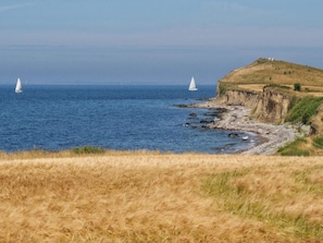 Eine Küstenlandschaft mit grasbewachsenem Gelände und felsiger Küste.