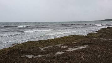 A coastal landscape with waves crashing onto a rocky shore.