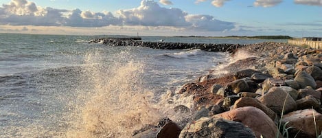 水景